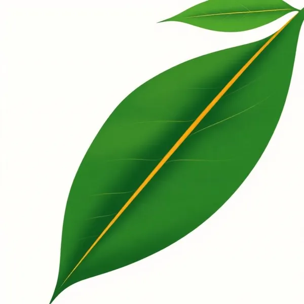 Кратом Maeng Da Green купить